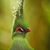 Debra Sandy's profile image