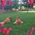 Kristi Kittleson's profile image