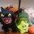Dawn Loomis's profile image