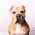 Liz Keels's profile image