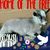 Karen M Streetman's profile image