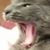 Lynn Bryan's profile image
