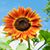 Christina VanWicklen Beyea's profile image