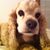 Marla Tazar Hinzey's profile image