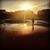 Debbie Nottingham Carico's profile image