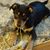 Mindy Lyn Weimer's profile image