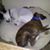 Audrey Everett-Baxter's profile image