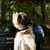 Terri Wildfeuer Lambert's profile image