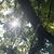 Sarah Woosley's profile image