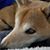 Keri Julius's profile image
