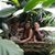 Melissa Marie Holum's profile image