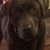 James Sundys's profile image