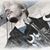 Nick Conger's profile image