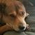 Staci Statham Price's profile image