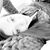 Cheyanne Mershon's profile image