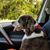 Deanna Cook's profile image