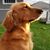 Lizzie's Legacy's profile image