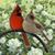 Julie George Smith's profile image