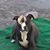 Kathy Barnum's profile image