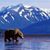Diane Bair Vatter's profile image