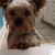 Parrotana Churilla's profile image
