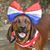 Karrie Noble's profile image