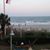 Shelley Schmitt Shupp's profile image