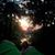 Tyler Rayburn's profile image