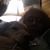 Tina Joles Johnson's profile image