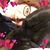 Tara Bolyard Dorough's profile image