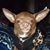 Paula Samson's profile image