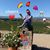 Gina M Lachica's profile image