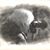 Anita Welden's profile image