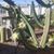 Marianne Starnes's profile image