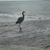 Tammy Barnes Boblink's profile image