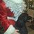 Michelle Larkins's profile image