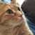Lynnette Clark's profile image
