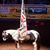 Brenda Larry Searles's profile image