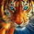 Jeff Hayes's profile image