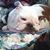 Marcia Dawson's profile image