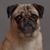 Stephanie Vospette's profile image