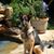 Edra Jones's profile image