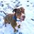 Tess Truslow's profile image