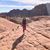 Meagan Mckim Nelson's profile image