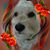 Linda Jane Eisen's profile image
