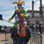 Bonnie Wagner Gibbs's profile image