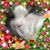 June Davis's profile image