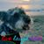 Juan C. Allain Corzo's profile image