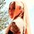 Brandy Stygles's profile image