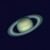 Alberto Levy's profile image